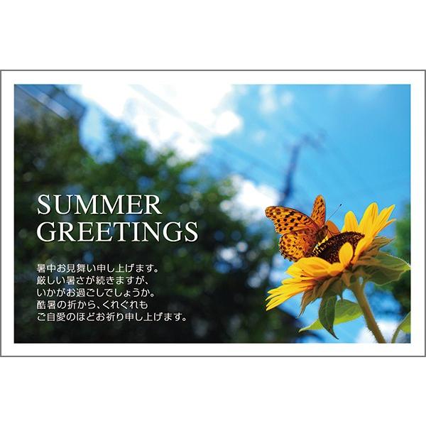 PO @ nKL  A t  ͂@SSF-12