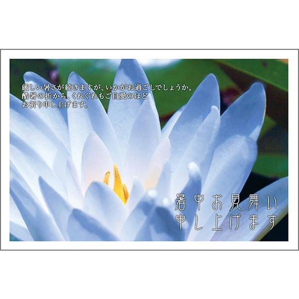 ͂ PO @ nKL  A t  ͂@SSF-17