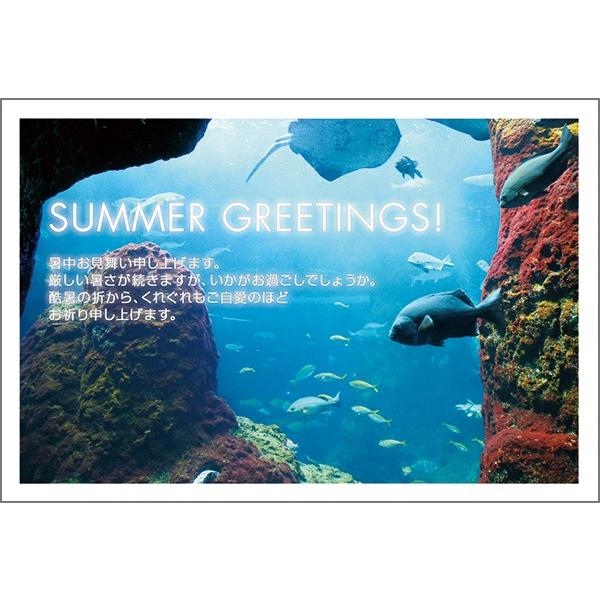 ͂ PO @ nKL  A t  ͂@SSF-18