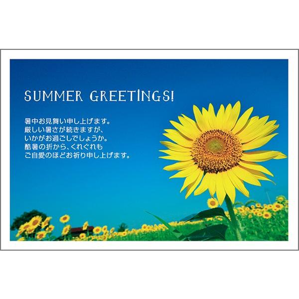 PO @ nKL  A t  ͂@SSF-20