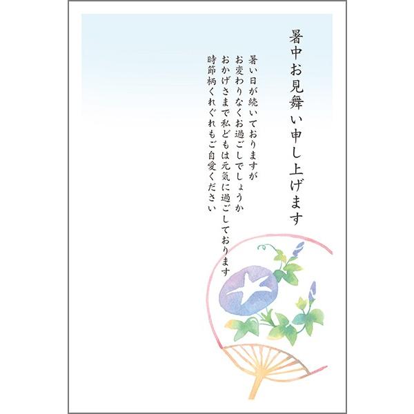 10枚 暑中見舞い ハガキ 夏 挨拶状 葉書 暑中 はがき SST-12