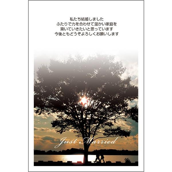 PO @  nKL m点 t ͂@WMSF-05