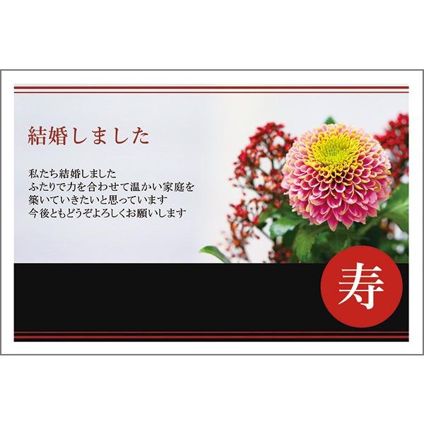 PO @  nKL m点 t ͂@WMSF-22