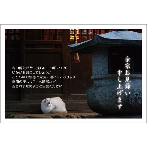 PO @]͂ ] nKL t@YSF-11