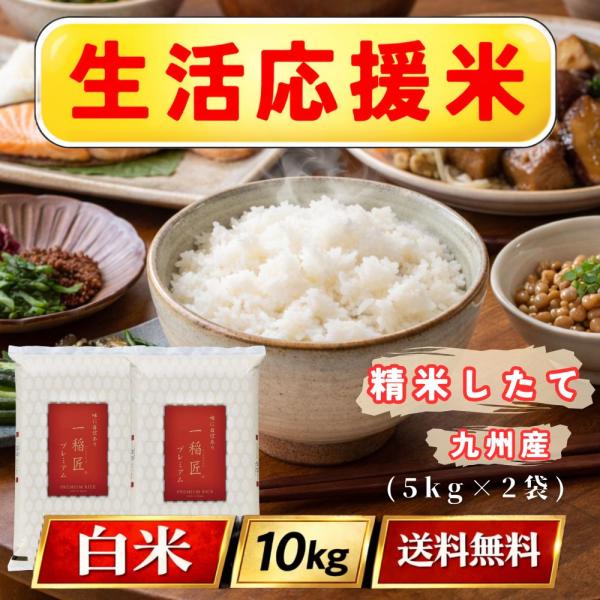 ブレンド米 白米 10kg (5kg×2袋) 九州産 生活応援米 安い 米 お米 10
