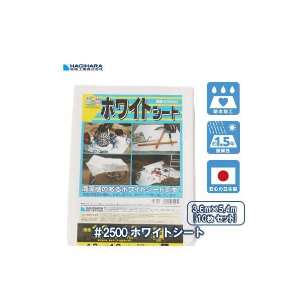 #2500 ホワイトシート 3.6m×5.4m [10枚セット] OS3654W | 日本製 中厚手 長持ち ブルーシート レジャーシート カラー 白 送料無料