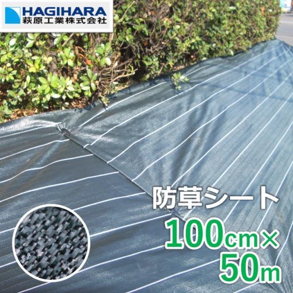 【レビューでプレゼント】3年耐候 防草シート 1m×50m［5本セット］ グランドバリアクロス-3 ODグリーン/ブラック | 透水