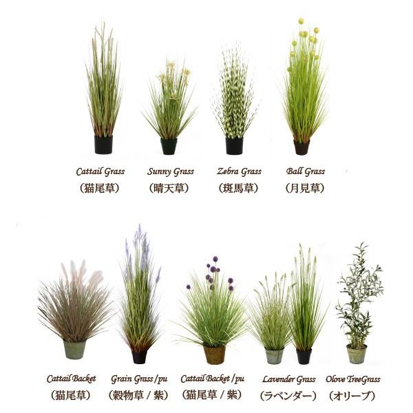 観葉植物 光触媒 サニーグラス 晴天草 M 高さ約107cm フェイクグリーン 人工 造花 室内 Buyee Buyee Japanese Proxy Service Buy From Japan Bot Online