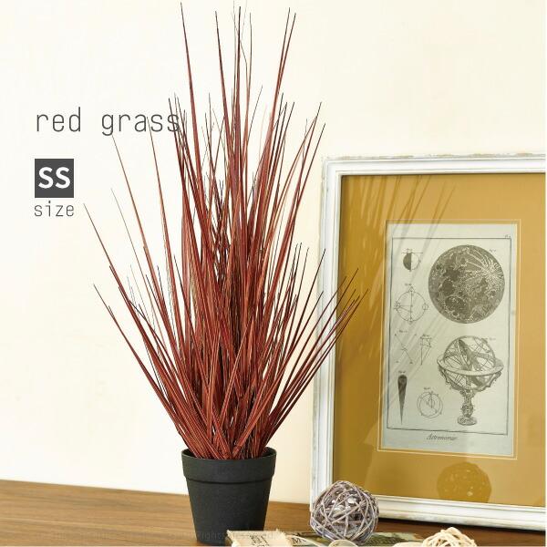 観葉植物 光触媒 レッドグラスss 高さ約53cm カントリー モダン ナチュラル フェイクグリーン 人工 造花 室内 敷物市場 通販 Yahoo ショッピング