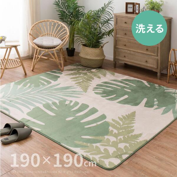 在庫限り モンステラ柄 ラグ マハロ 約185 185cm 約2畳 カーペット 床暖房対応 ホットカーペット対応ラグ ラグマット おしゃれ 北欧 Buyee Buyee Japanese Proxy Service Buy From Japan Bot Online
