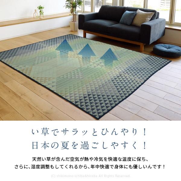 【週間ランキング1位獲得】 三重織 い草玄関マット 約30×150cm ネイビー TSN340405 湿気の多い夏もサラツとした肌触り