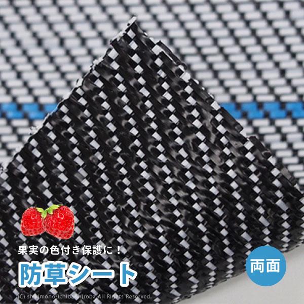 防草シート 両面仕様透水タイプ 幅1 5 長さ100m ホワイト ブラック 雑草 果物 果実 色付き抜群 家庭菜園 アグリシートr リバーシブル Bw2415 Wcbw2415 敷物市場 通販 Yahoo ショッピング