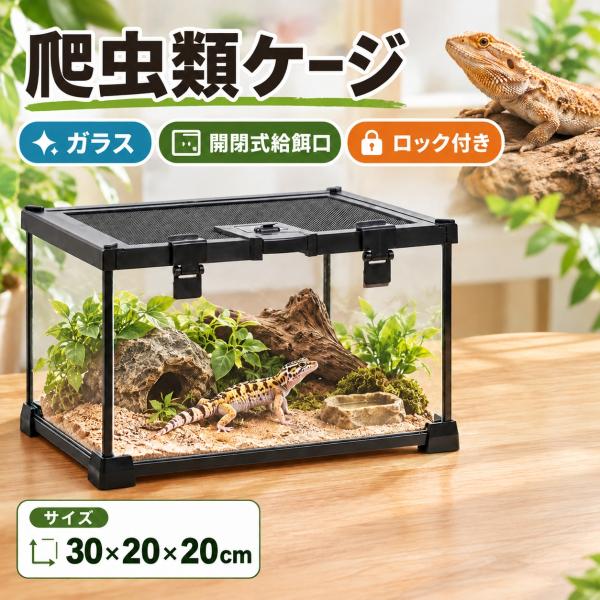 爬虫類ケージ ガラスケージ 30×20×20cm 360度観察 小型ペット 飼育ケース 開閉式給餌口 スライド式メッシュパネル 積み重ね可能 カメ ヤモリ ヘビ クモ 爆買