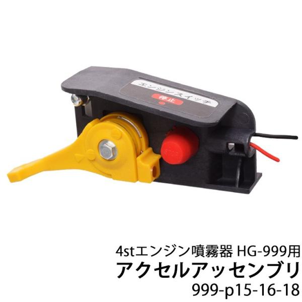 w GW p ANZAbZu 999-P15-16-18