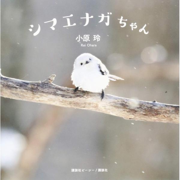 ■システム反映の都合上、ご購入後でも品切れになっている場合があります。その場合、ご登録のメールアドレスに通知致します。必ずご確認をお願いします。■サイズ・カラー等の記載が無い場合や複数記載がある場合があります。ご不明点は、ご購入前にご質問く...