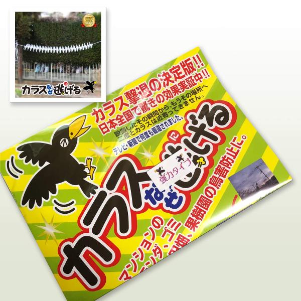 カラスなぜ逃げる？強力タイプＫＳ−００２ 撃退率95％以上 カラス撃退 カラス対策 カラスよけ カラス除け 鳥よけ グッズ カラス 忌避 駆除 ゴミ