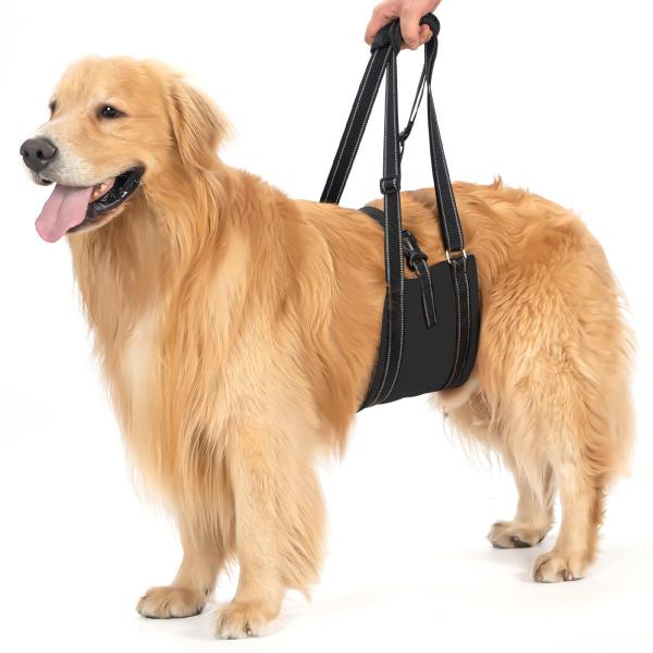 他サイト： Avont 犬用 介助 歩行補助 ハーネス 老犬サポート 介護用品 バンド調節可能 -ブラックの商品画像