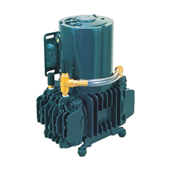 �A���o�b�N�@�H:ULVAC �P��100V �_�C�A�t�����^�h���C�^��|���v�r�C���x100/110 DAT-100S �^��:DAT-100S
