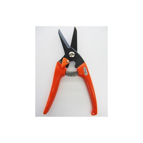 T{e:fB[XXtbf ^:1211-O