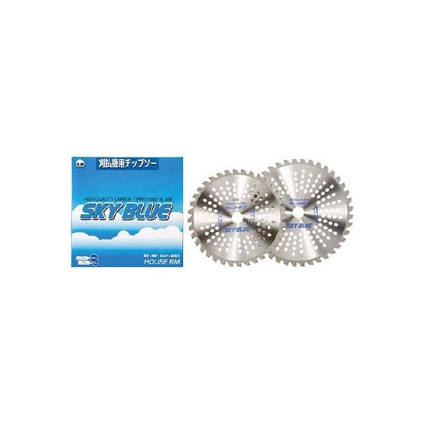 nEXr[G:nEXB.M `bv\[uSKY BLUEv SB-255 ^:SB-255