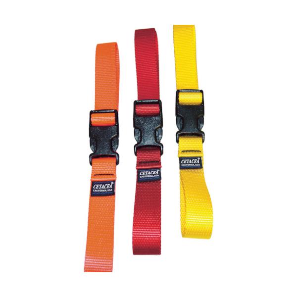 CETACEA:CETACEA EFrOXgbv  IDQR2S04RED ^:IDQR2S04RED