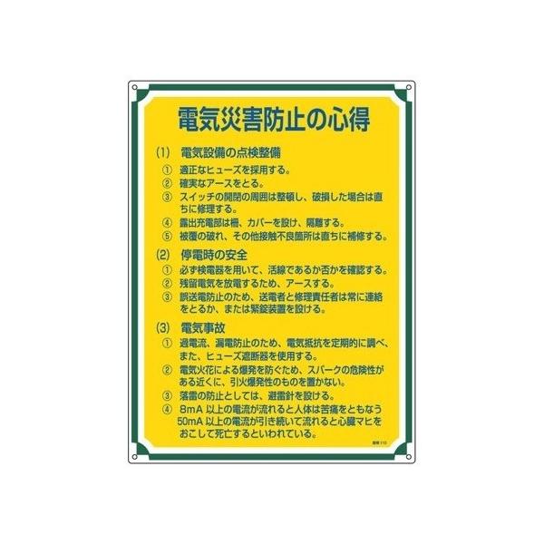 {Ώ\:ǗW ^:Ǘ110(050110)