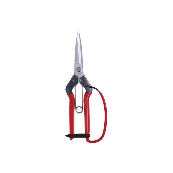 �ߐ�:���t�� ���b�L�n�K�[�h�t BP �^��:T-710GDX