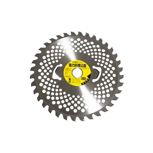 �Z�t�e�B�f���L:�����Ȃ��񓁗� 255x36P �^��:�����Ȃ��񓁗� 255x36P