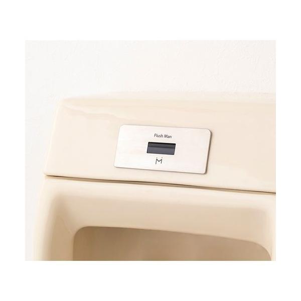 �~�i�~�T��:�t���b�V���}�����J�o���[3 US301C/US401C�����p AC100V�^�C�v �^��:FM10TWA