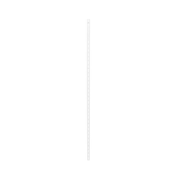 �a�C�Y��:�s���V�F���I�� �^��:WPS015