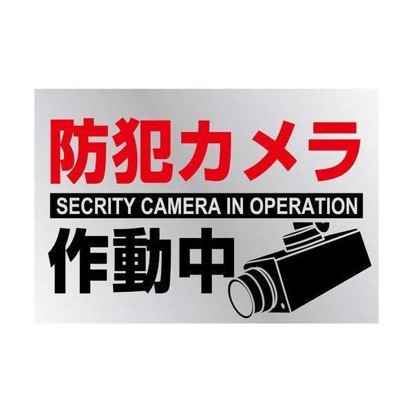 {Ώ\:CXgXebJ[W hƃJ쓮 \-133 150×220mm 2g PET ^:047133