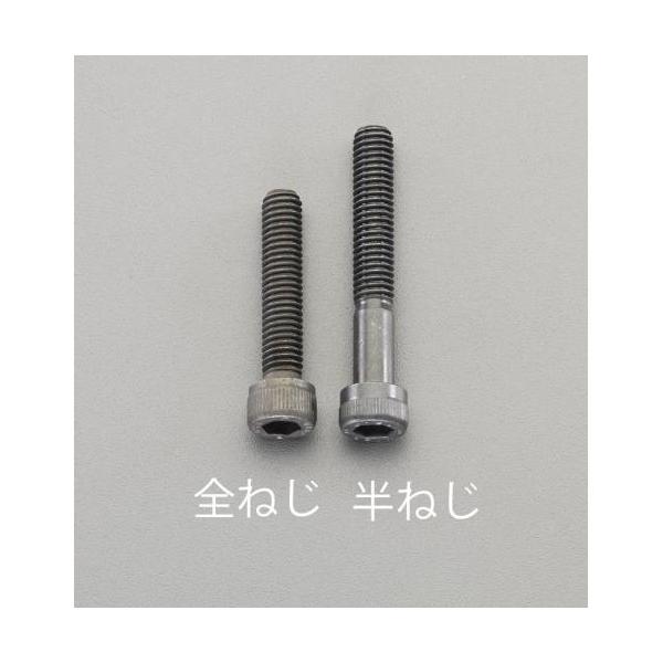 �G�X�R:m10×100 �m�����x�E�����́n�Z�p���t�{���g �^��:EA949DJ-1100