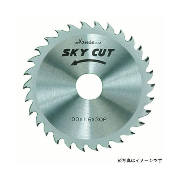 nEXr[G:SKY-XJCJbg(؍Hp) pbNdl ^:WD-100