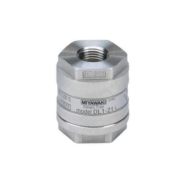 ~L:_CtX`[gbv ^:DL1-21L-10A