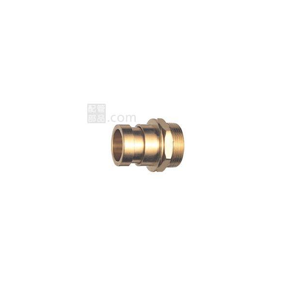 SANEI(:Oh𐻍쏊):ڎII ^:L22-1-50