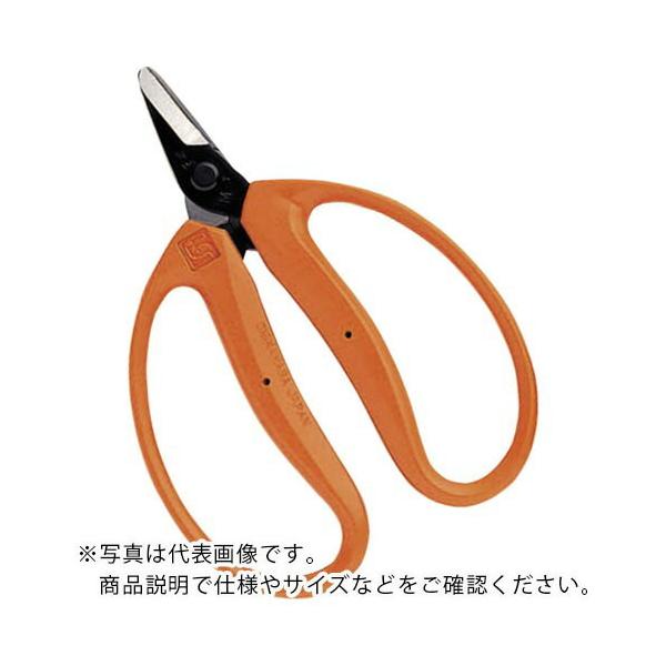 `J}T ݂n ( M-100 ) ([J[)