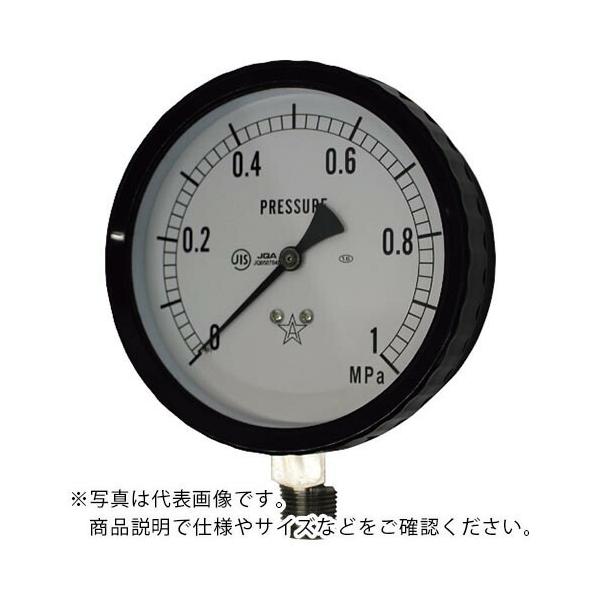日本正規品 右下精器製造 Migishita ステンレス圧力計 Jan G 6mp 計測用具
