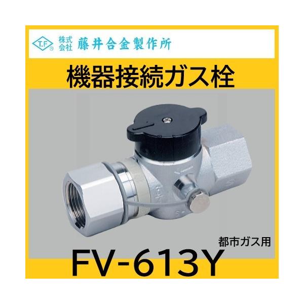 haikanspcom_fv-613y