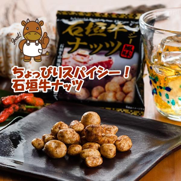 沖縄のお土産で人気のナッツです。おやつに！お酒のお供に！石垣島の恵まれた気候で育成された「石垣牛」の風味をスパイシーに仕上げたナッツです。ナッツはどれもおつまみにおすすめですが、こちらの商品は「石垣牛」の風味が少し濃いめで、特にビールに最高...
