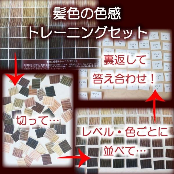 髪色色感トレーニングセット : ヘアカラー教材オンラインショップ