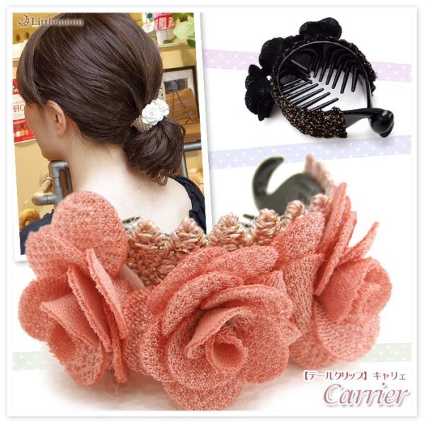 e[Nbv wAJtX LG   GKg ЂƂ wANbv wAANZT[