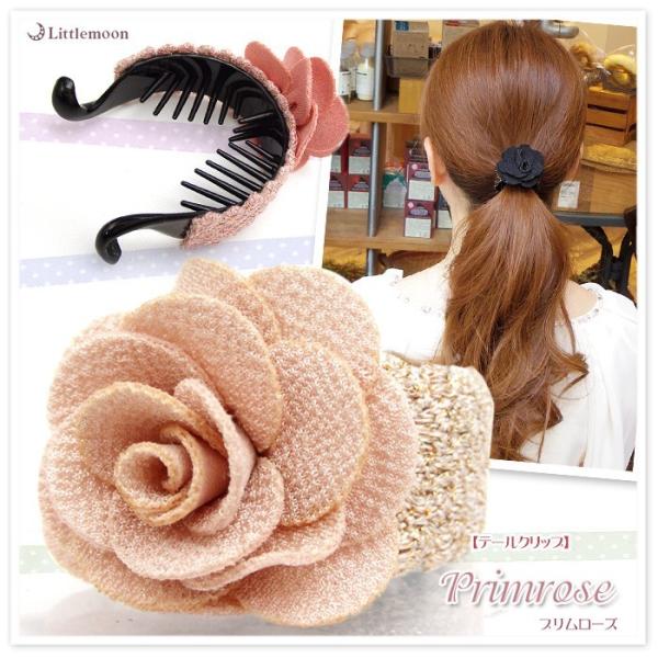 e[Nbv wAJtX v[Y   i ЂƂ wANbv wAANZT[