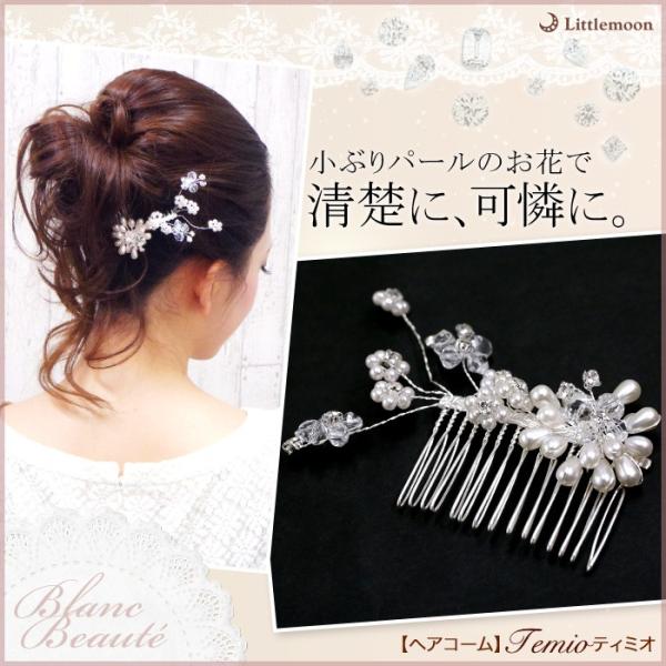 wAR[ p[ t[ r[Y EFfBO uC_  Blanc Beaute R[ eB~I ǐՉ\[֑Ή