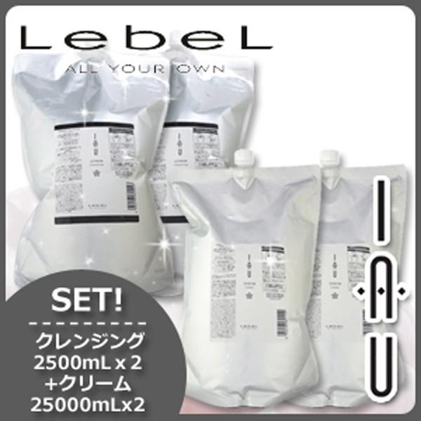 ルベルイオセラムクレンジング（シャンプー）2500ml詰替2個セット