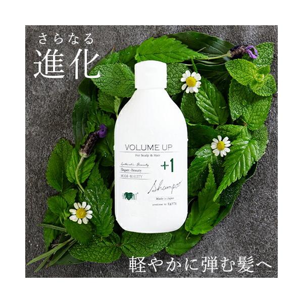 EARTHEART（アースハート） 美容室専売品 ボリュームアップ シャンプー