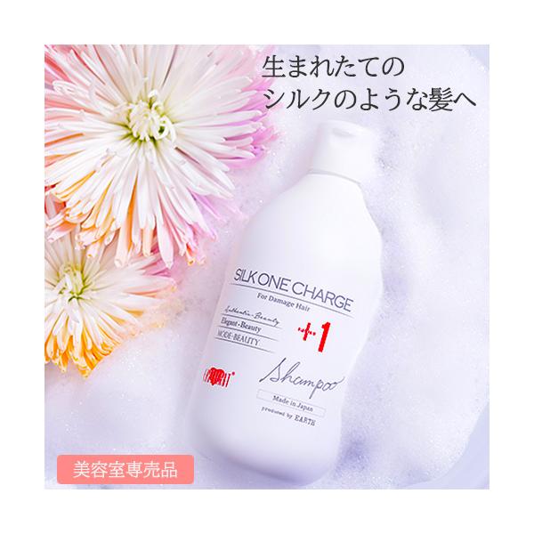 EARTHEART シャンプー サロン専売 シルクワンチャージ EARTHEART シャンプー サロン専売 シルクワンチャージ