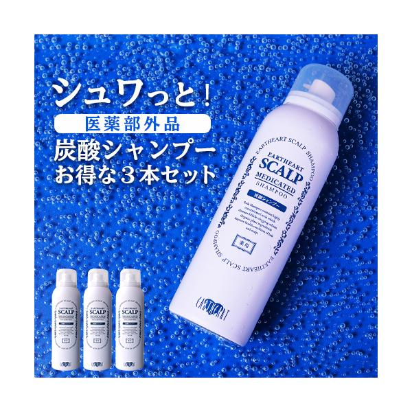 hairmake-earth-store_eh3005-3set