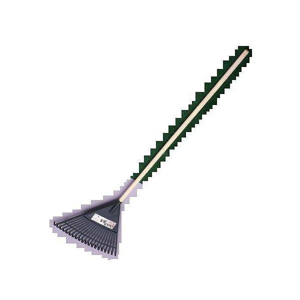 EgF ؕ 20{  24{(1)Zbg Rp