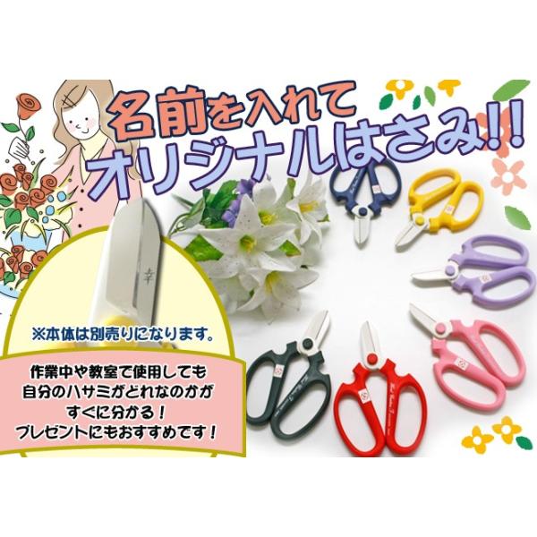 ⌹ nhNG[V F-170p (1) ݂̂͂ɂႨI{͕̂ʔł