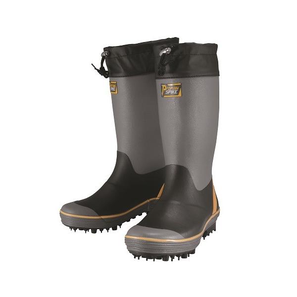 C XpCNst vCXpCN M-31 O[ ی